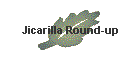Jicarilla Round-up