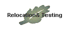 Relocation& Testing